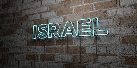 ISRAEL - Glowing Neon Sign on stonework wall - 3D rendered royalty free stock illustration.  Can be used for online banner ads and direct mailers..