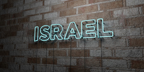 Fototapeta premium ISRAEL - Glowing Neon Sign on stonework wall - 3D rendered royalty free stock illustration. Can be used for online banner ads and direct mailers..