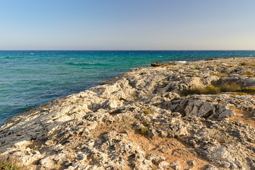 rocky coast with rare plants and sea with waves