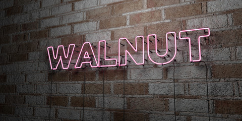 WALNUT - Glowing Neon Sign on stonework wall - 3D rendered royalty free stock illustration.  Can be used for online banner ads and direct mailers..