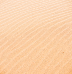 Fototapeta na wymiar sand dune background