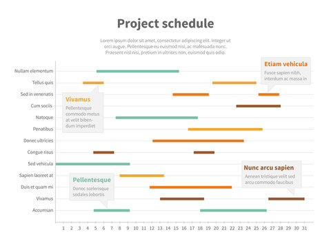 Project plan schedule chart with timeline, gantt progress vector graph