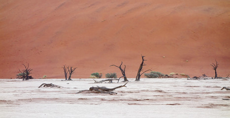 Sossusvlei, Namibia
