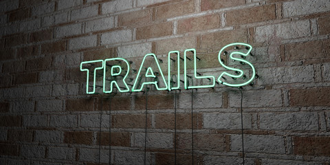 TRAILS - Glowing Neon Sign on stonework wall - 3D rendered royalty free stock illustration.  Can be used for online banner ads and direct mailers..