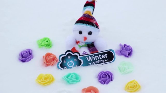 Snowman flowers and winter