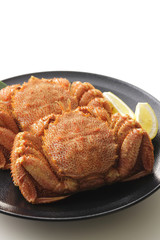 毛蟹　Hair crab