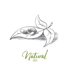 Vector hand drawn natural drugs concept sketch. Pills with natural medicine on plant leaf. Lettering Natural drugs