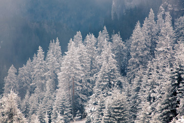 amazing winter sunrise through fog in the mountains
