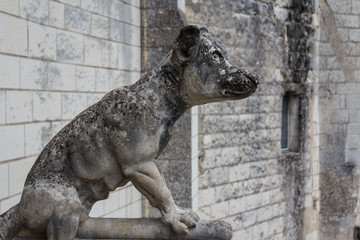 Decoration detail of the medieval castle of Loches, France