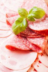 Types of sausage appetizer