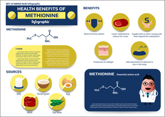 Health benefits of methionine(essential amino acid) infographic,supplement and nutrition vector illustration