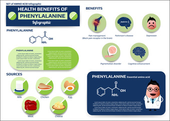 Health benefits of phenylalanine (essential amino acid) infographic, supplement and nutrition vector illustration