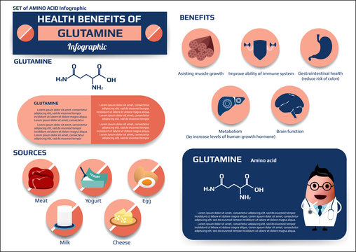 Health benefits of glutamine (amino acid) infographic, supplement and nutrition vector illustration