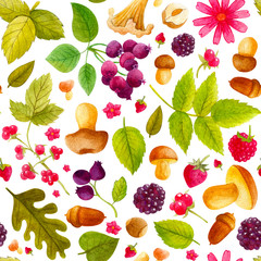 Seamless pattern with mushrooms, raspberries, blackberries and acorns. Colorful illustration. Watercolor handpainted texture on white background for wallpaper, blogs, cover
