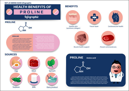Health benefits of proline (amino acid) infographic,supplement and nutrition vector illustration