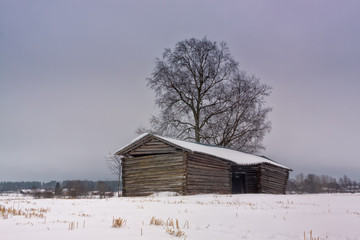 Old Barn On A Hill