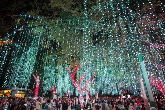 Light and Sound Show at Ayala Triangle Garden Makati