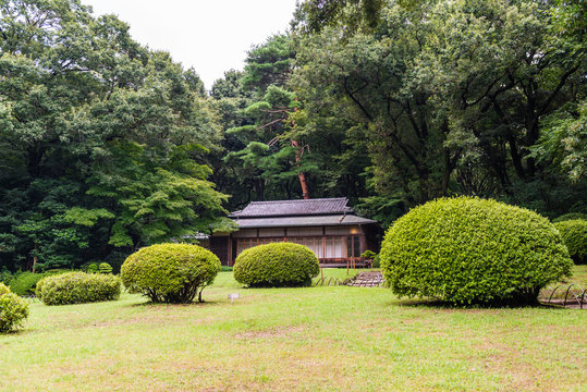 Meiji-jingu temple in Central Tokyo, Japan.