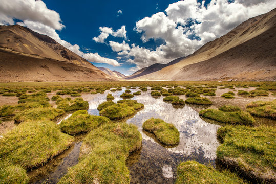 Leh in the valley of the Indus river