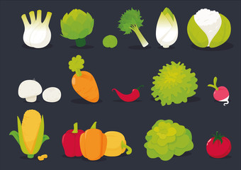 Set of vegetables