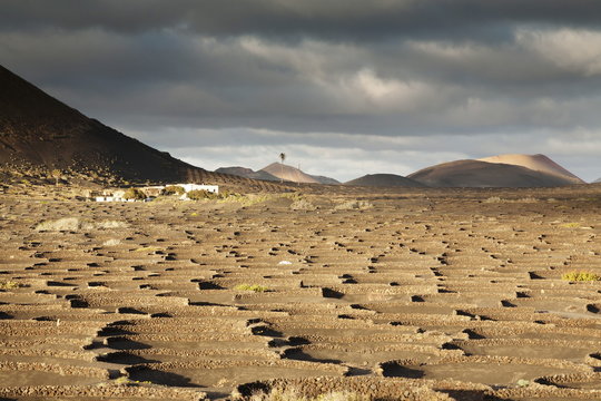 La Geria, Lanzarote, Canary Islands, Spain, Atlantic 