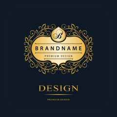 Monogram design elements, graceful template. Calligraphic elegant line art logo design. Letter emblem sign B for Royalty, business card, Boutique, Hotel, Heraldic, Jewelry. Vector illustration