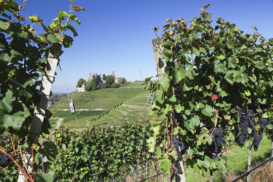 Ortenberg Castle, near Offenburg, Black Forest, Baden Wurttemberg, Germany 