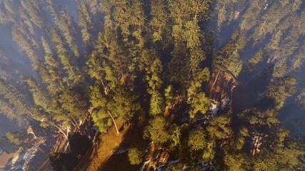 aerial view of a north american forest at fall 3d rendering