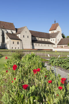 Herb garden, St. Maria und Markus Cathedral, Mittelzell, Reichenau Island, Lake Constance, Baden-Wurttemberg, Germany