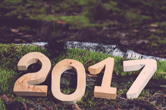 Figures 2017 in the forest. Christmas theme. Toned