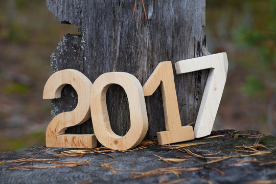 Figures 2017 in the forest. Christmas theme