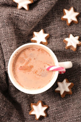 Obraz na płótnie Canvas hot milk cocoa