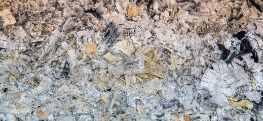 Fototapeta premium Textura de cinzas e carvão.