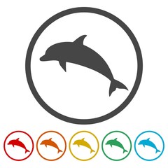 Dolphin icons set 