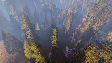 aerial view of a north american forest at fall 3d rendering