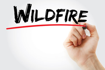 Hand writing Wildfire with marker, concept background
