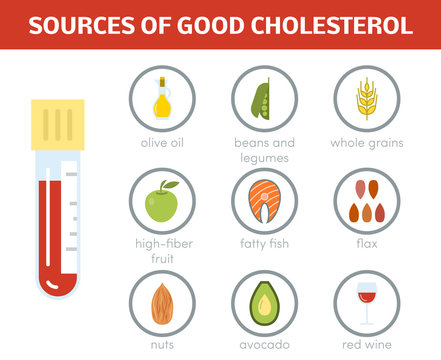 Sources Of Good Cholesterol