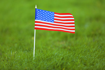 American flag on green grass, closeup
