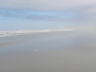 Foggy beach with land and sea merging