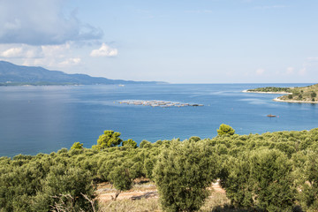 Obraz premium Fishing farm in Albania