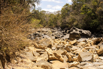 dry river bed during drought, Ankarana reservation, Madagascar