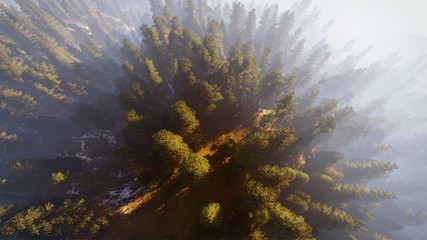 aerial view of a north american forest at fall 3d rendering