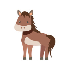 Cute Cartoon  Baby Horse or Pony on White Background
