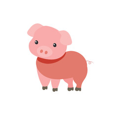 Cute Cartoon  Piglet on White Background