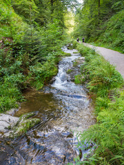 Paisaje de la Selva Negra en  Allerheiligen, Alemania, en el verano de 2016 OLYMPUS CAMERA DIGITAL