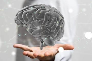 brain