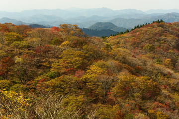 紅葉した比良山