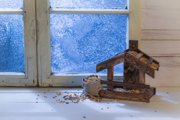 Feeder for birds in cold winter day