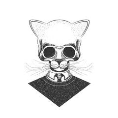 Hipster skull cat. Vector Illustration Isolated on White