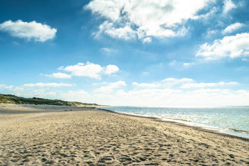 Sandy beach of the sea coast